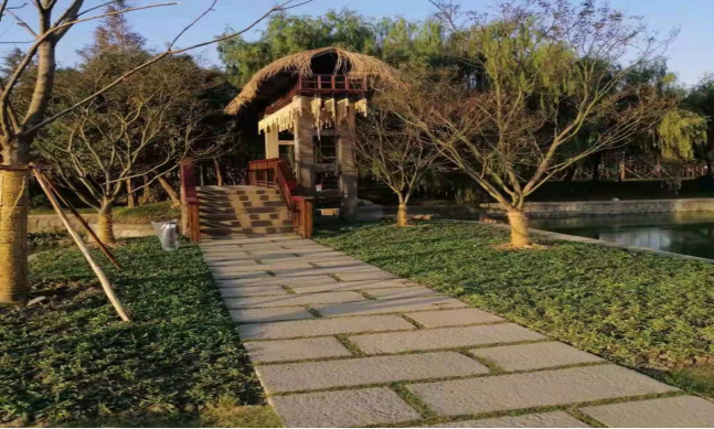 1657461544453534.png image.png